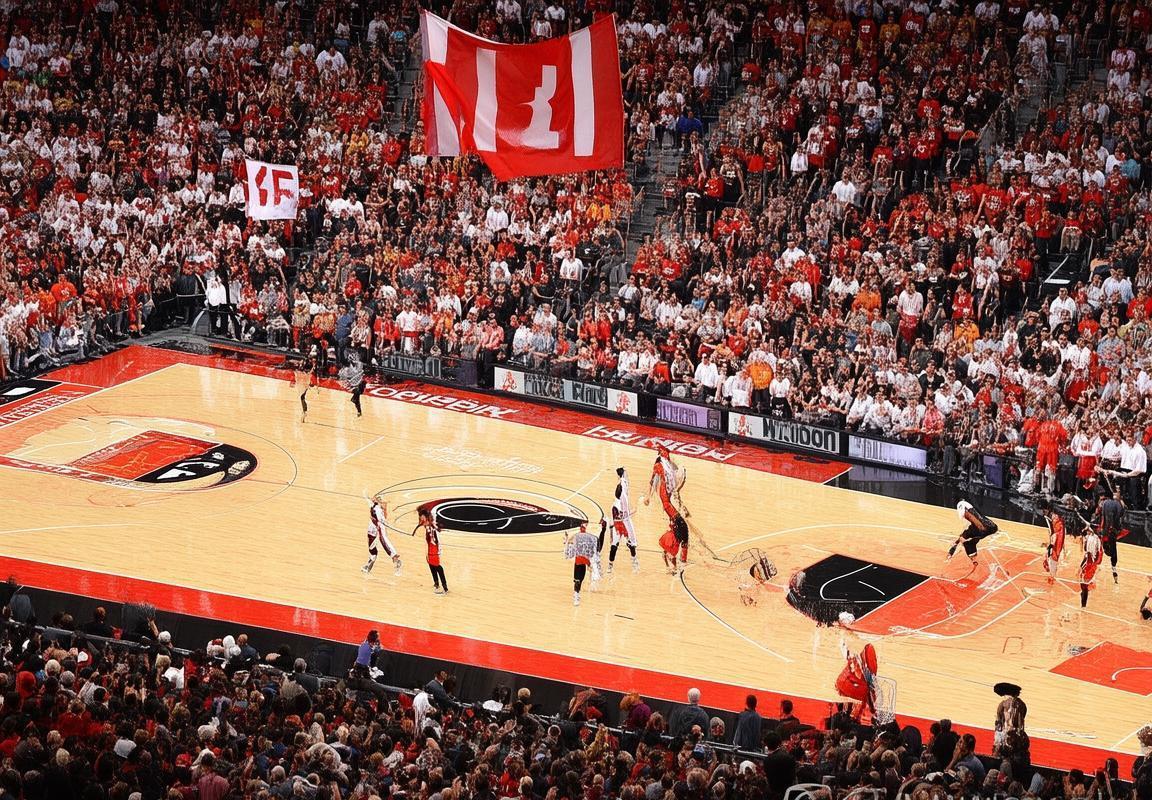 2016NBA季后赛:热火猛龙系列赛激情对决回顾